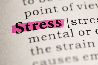 The word "Stress" is highlighted in pink on a dictionary page, with surrounding text defining the term.