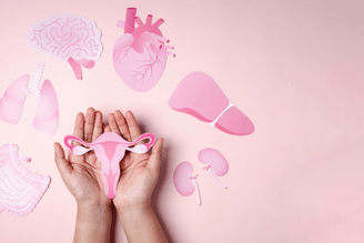 Hands hold a paper cutout of a uterus surrounded by other paper cutout organs including a brain, heart, lungs, liver, and kidneys, all in shades of pink on a light pink background.