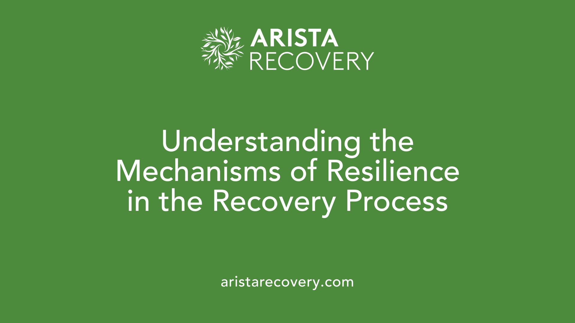 Understanding the Mechanisms of Resilience in the Recovery Process