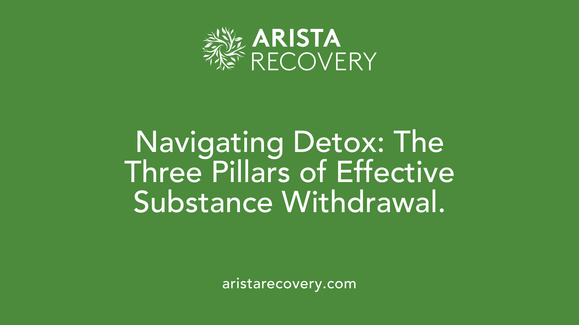 Navigating Detox: The Three Pillars of Effective Substance Withdrawal.