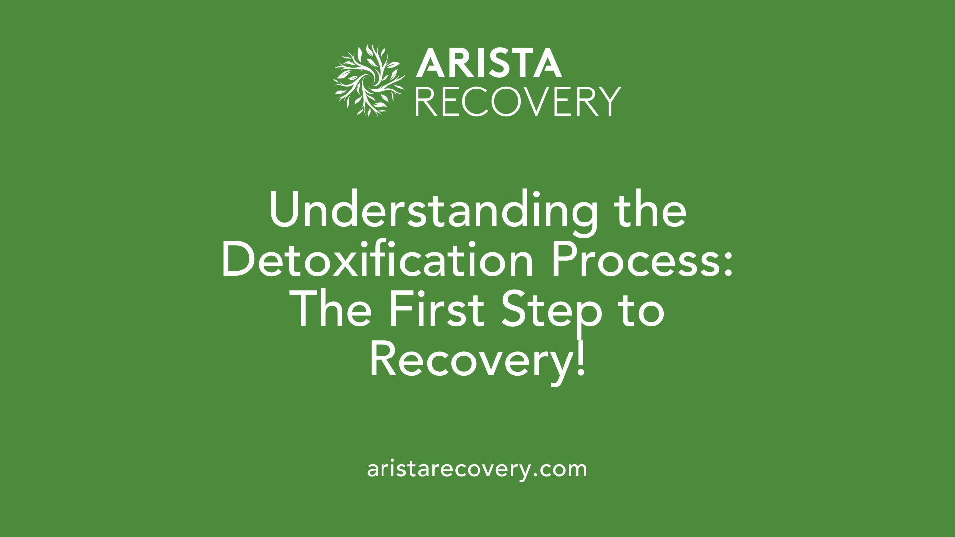 Understanding the Detoxification Process: The First Step to Recovery!