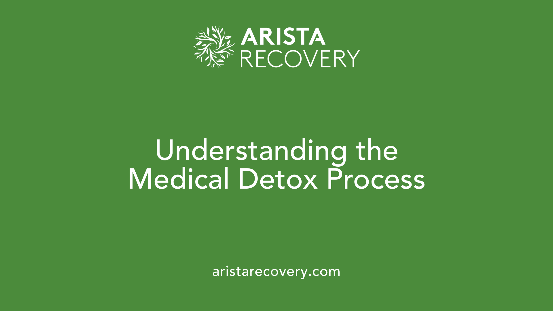 Understanding the Medical Detox Process