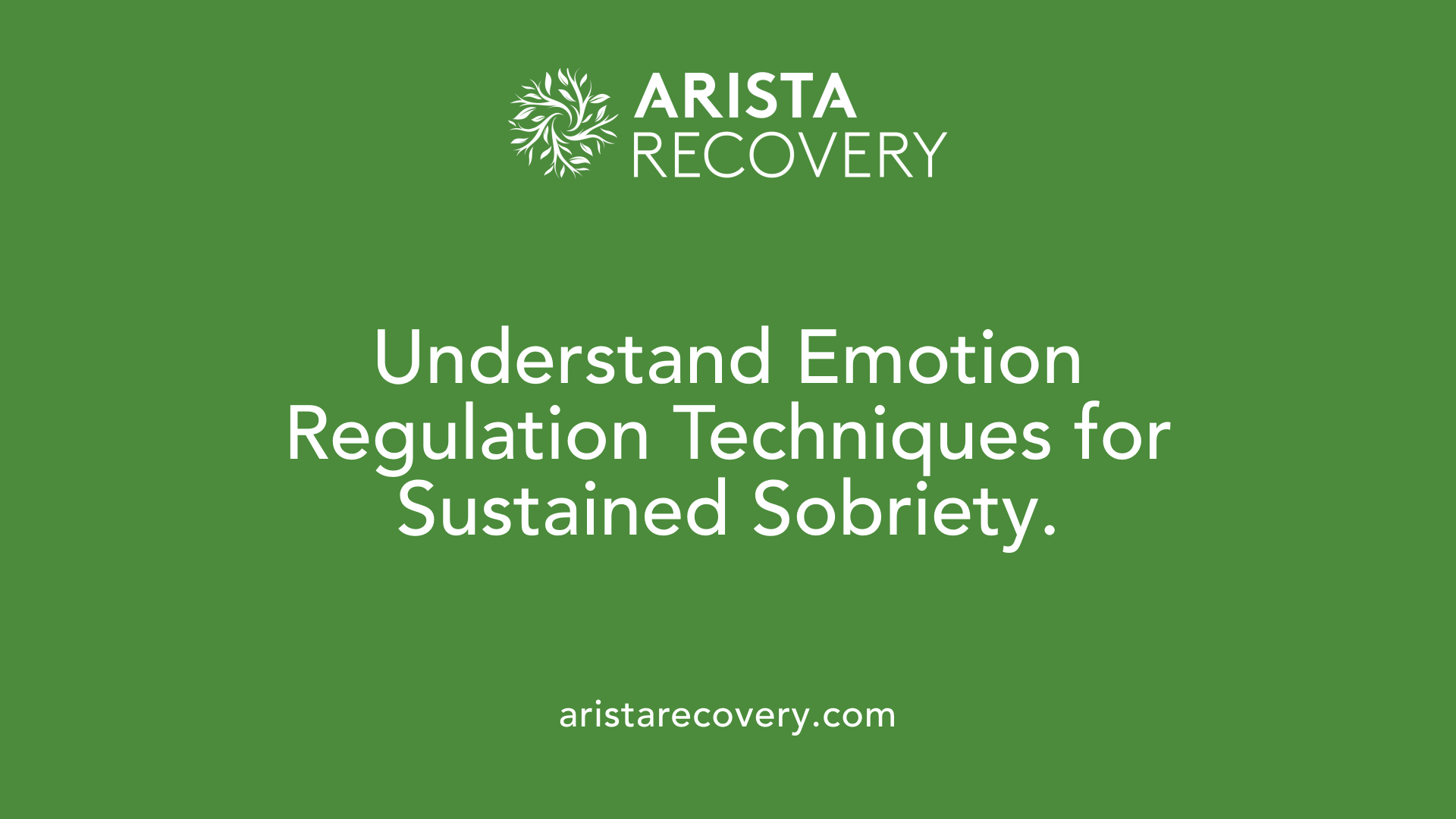 Understand Emotion Regulation Techniques for Sustained Sobriety.