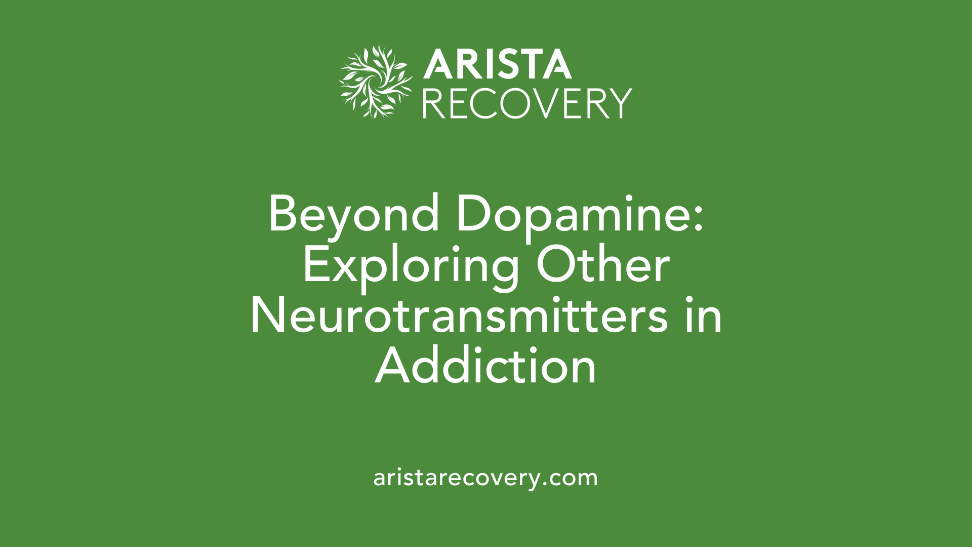 Beyond Dopamine: Exploring Other Neurotransmitters in Addiction