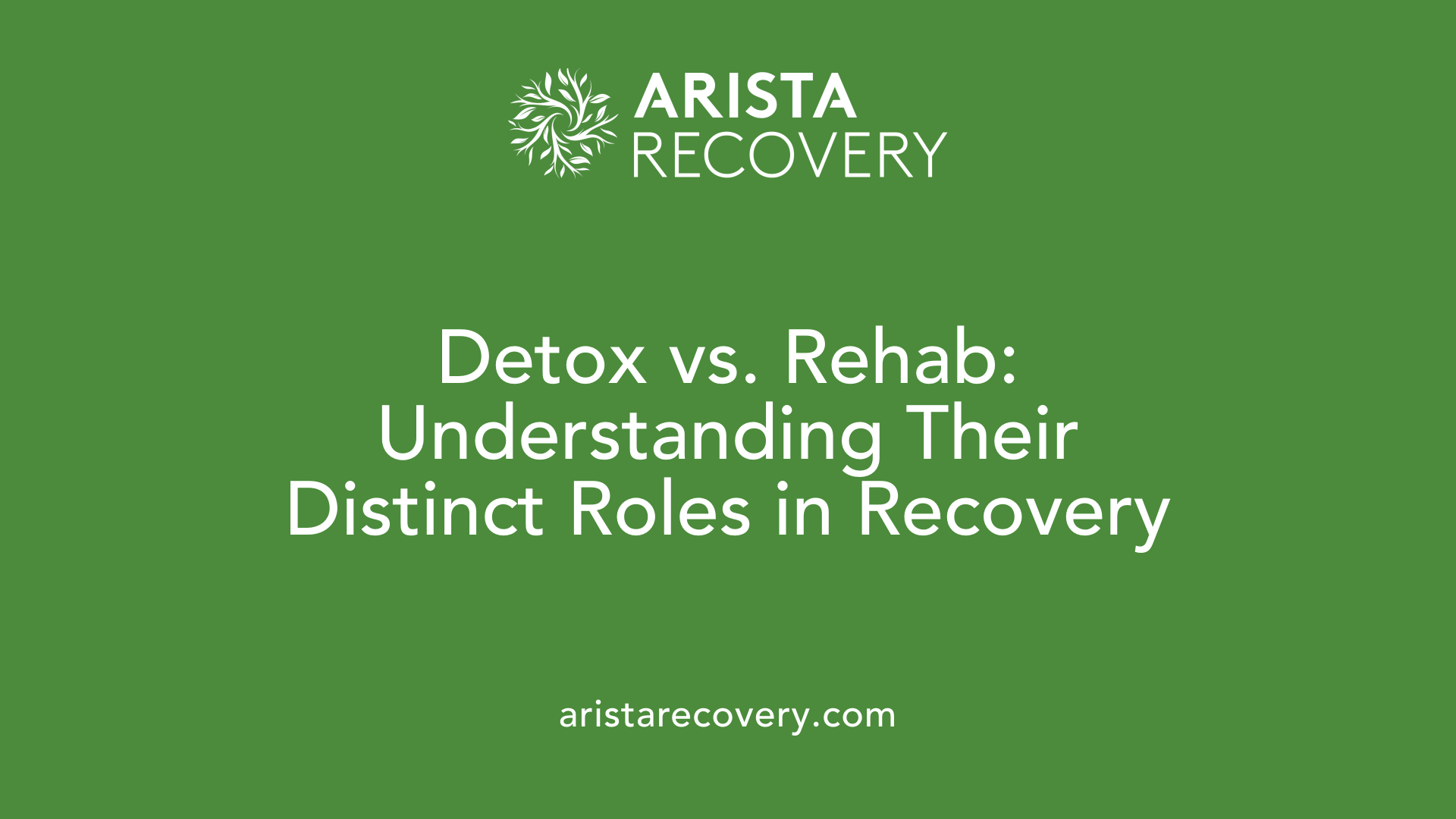 Detox vs. Rehab: Understanding Their Distinct Roles in Recovery