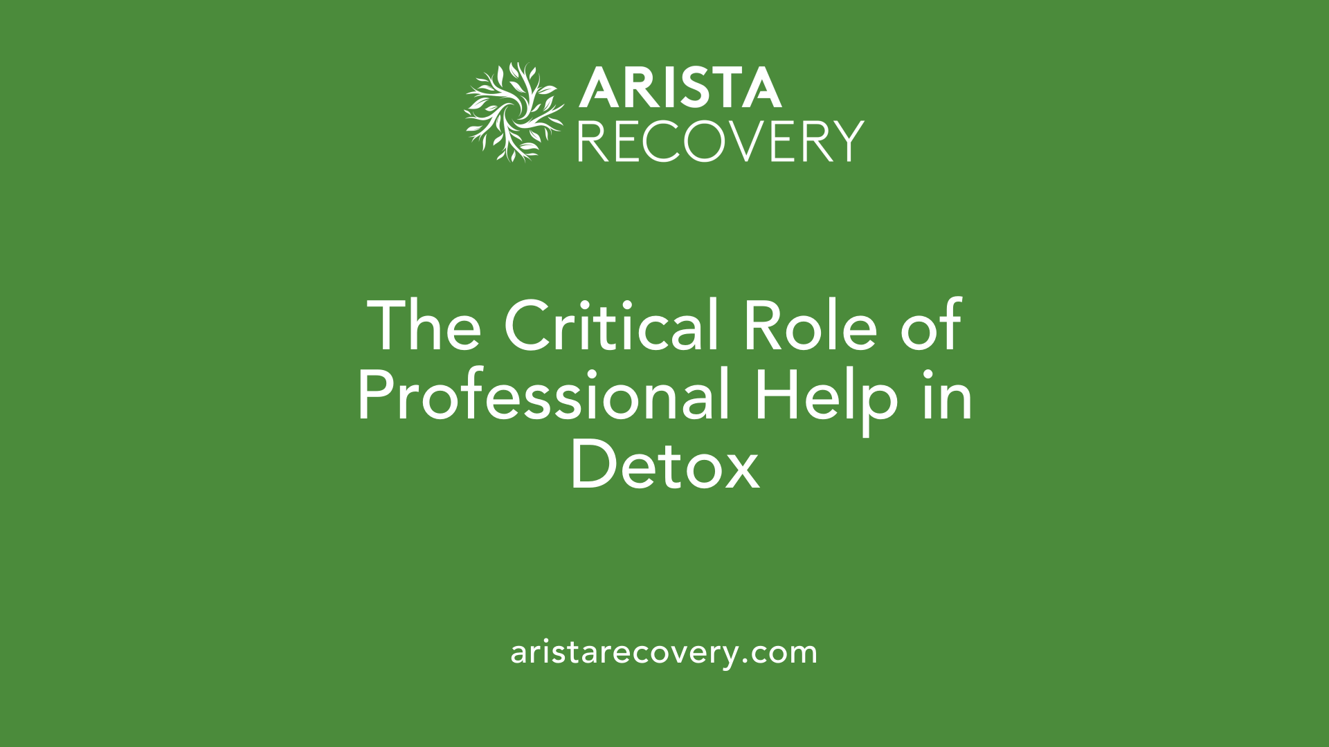 The Critical Role of Professional Help in Detox