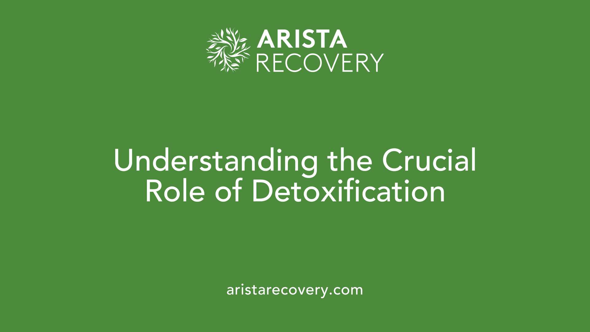 Understanding the Crucial Role of Detoxification