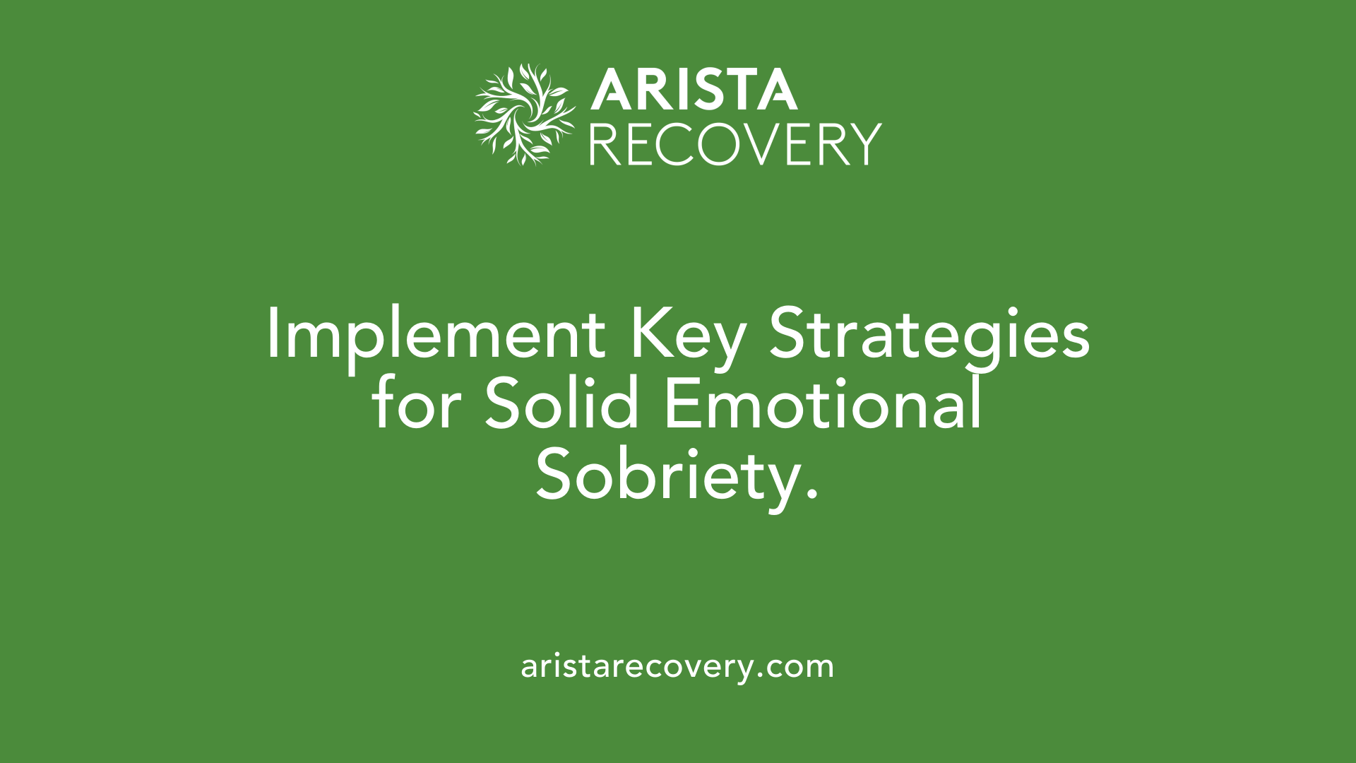 Implement Key Strategies for Solid Emotional Sobriety.