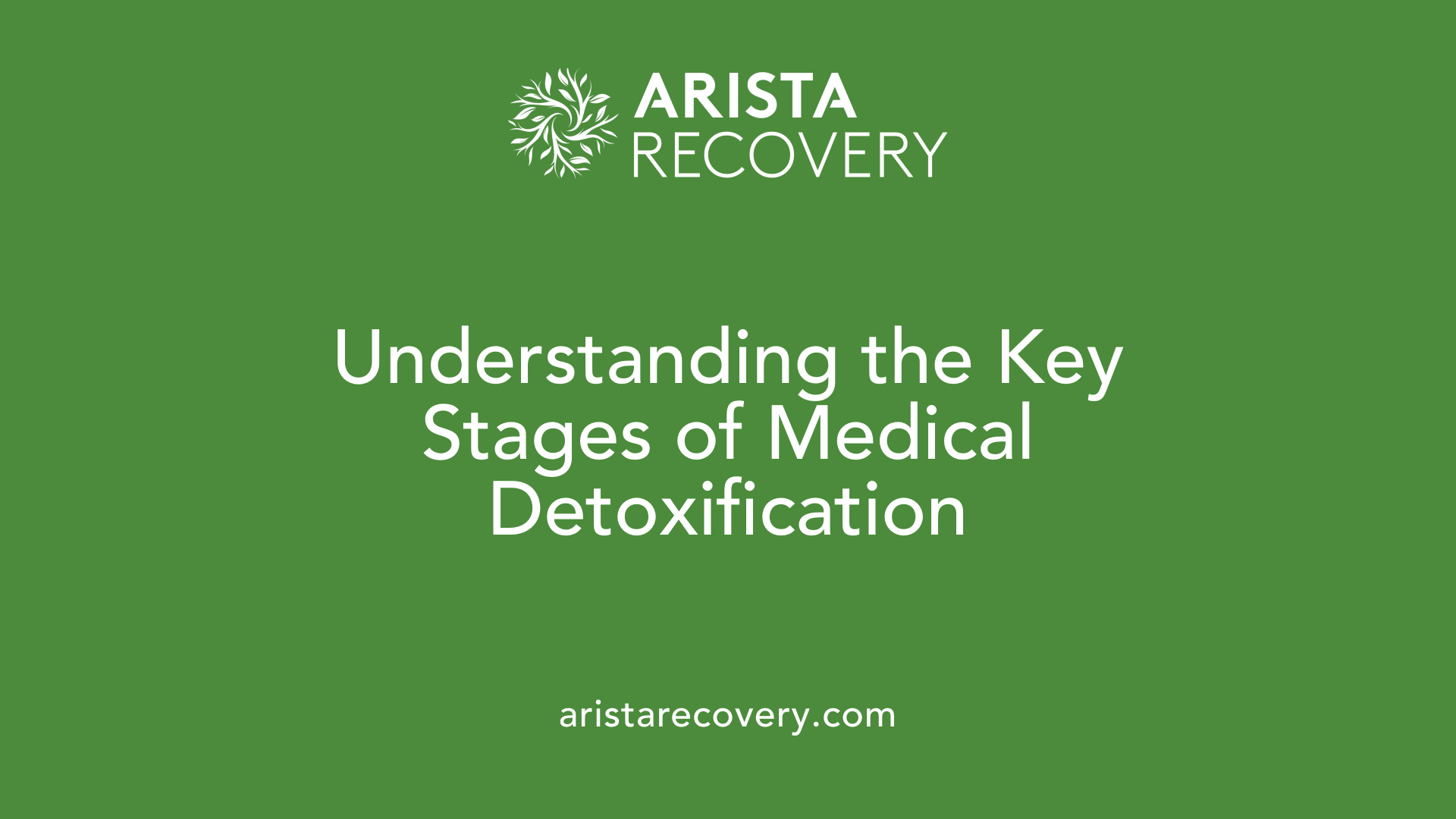 Understanding the Key Stages of Medical Detoxification