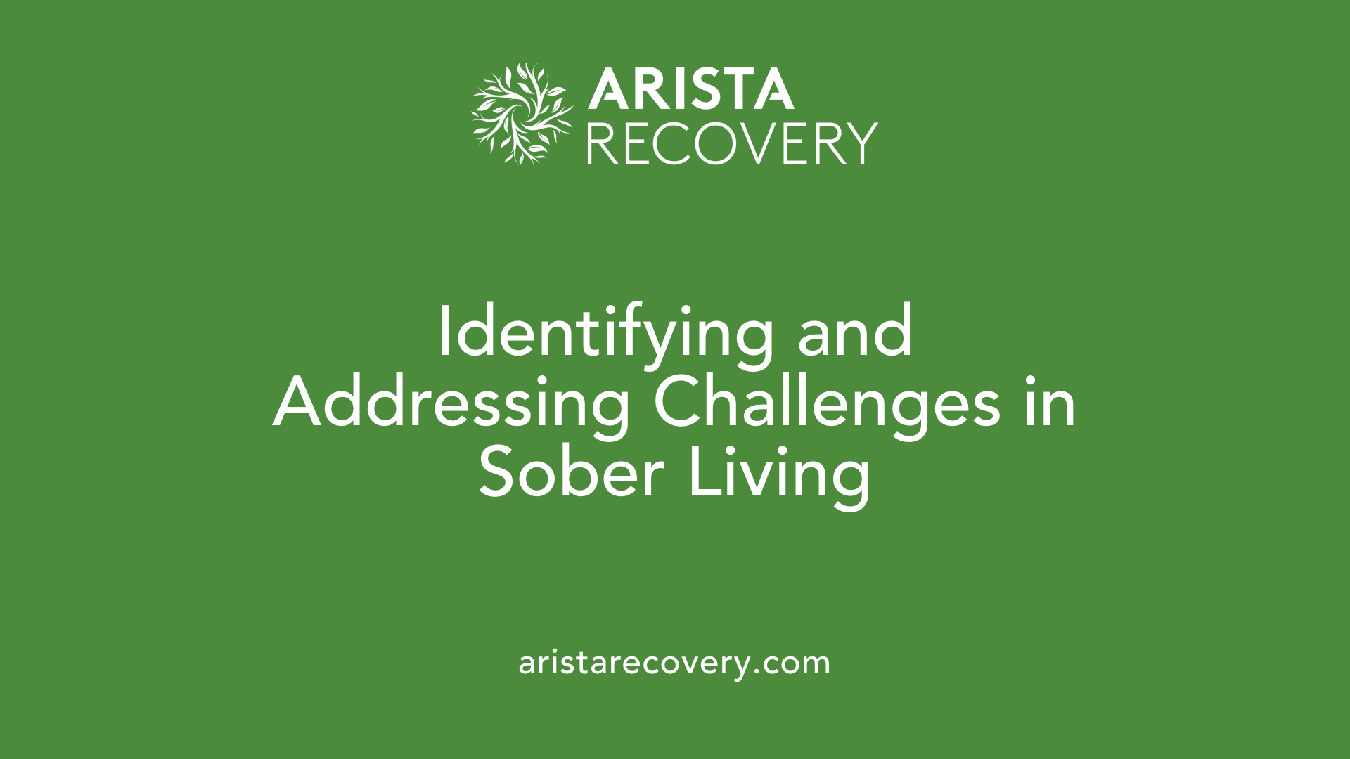 Identifying and Addressing Challenges in Sober Living