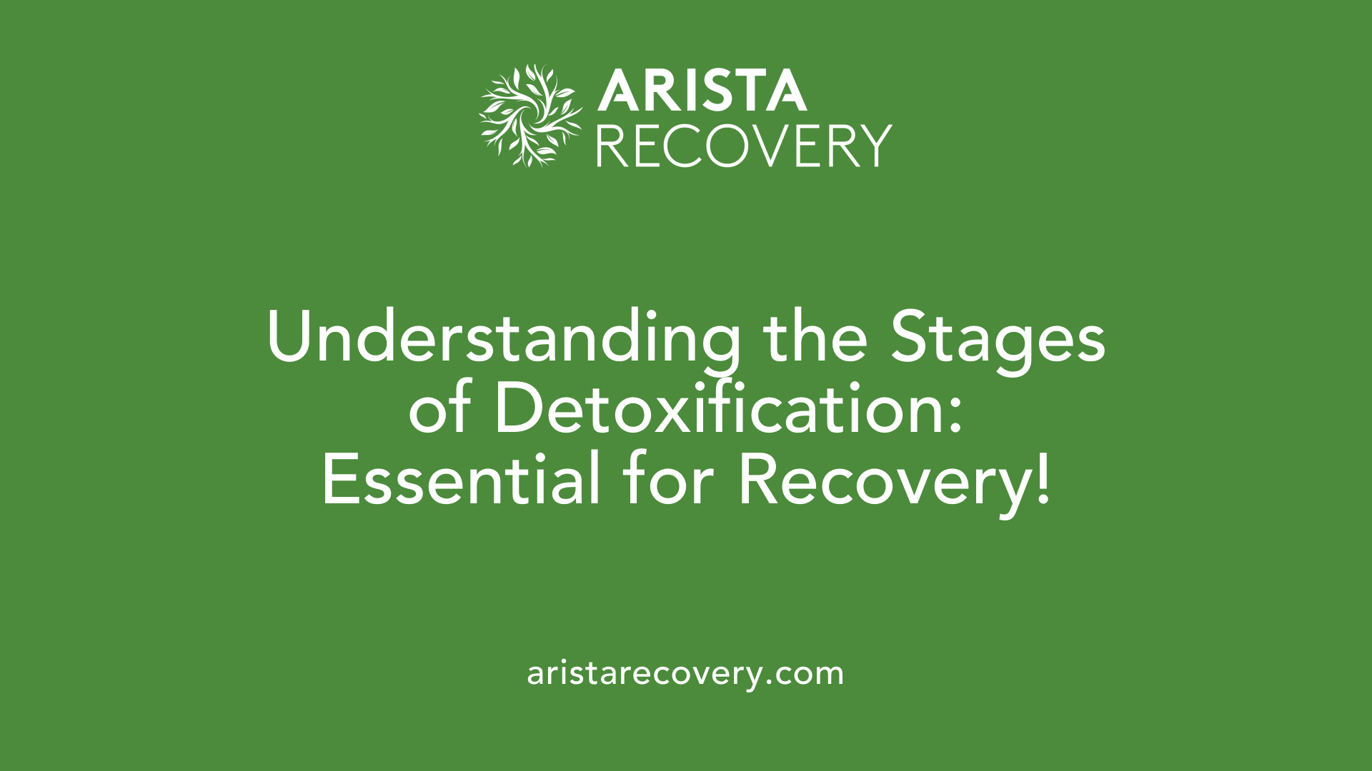 Understanding the Stages of Detoxification: Essential for Recovery!