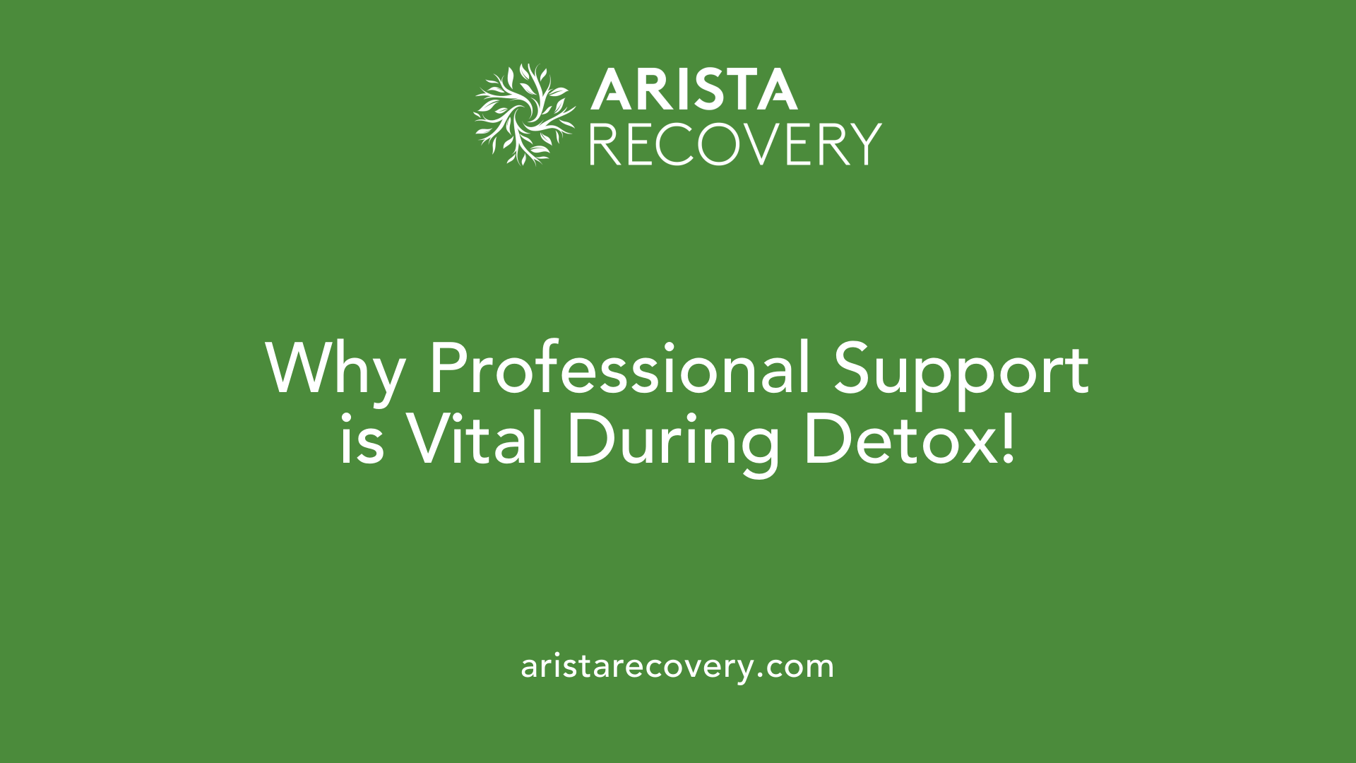 Why Professional Support is Vital During Detox!