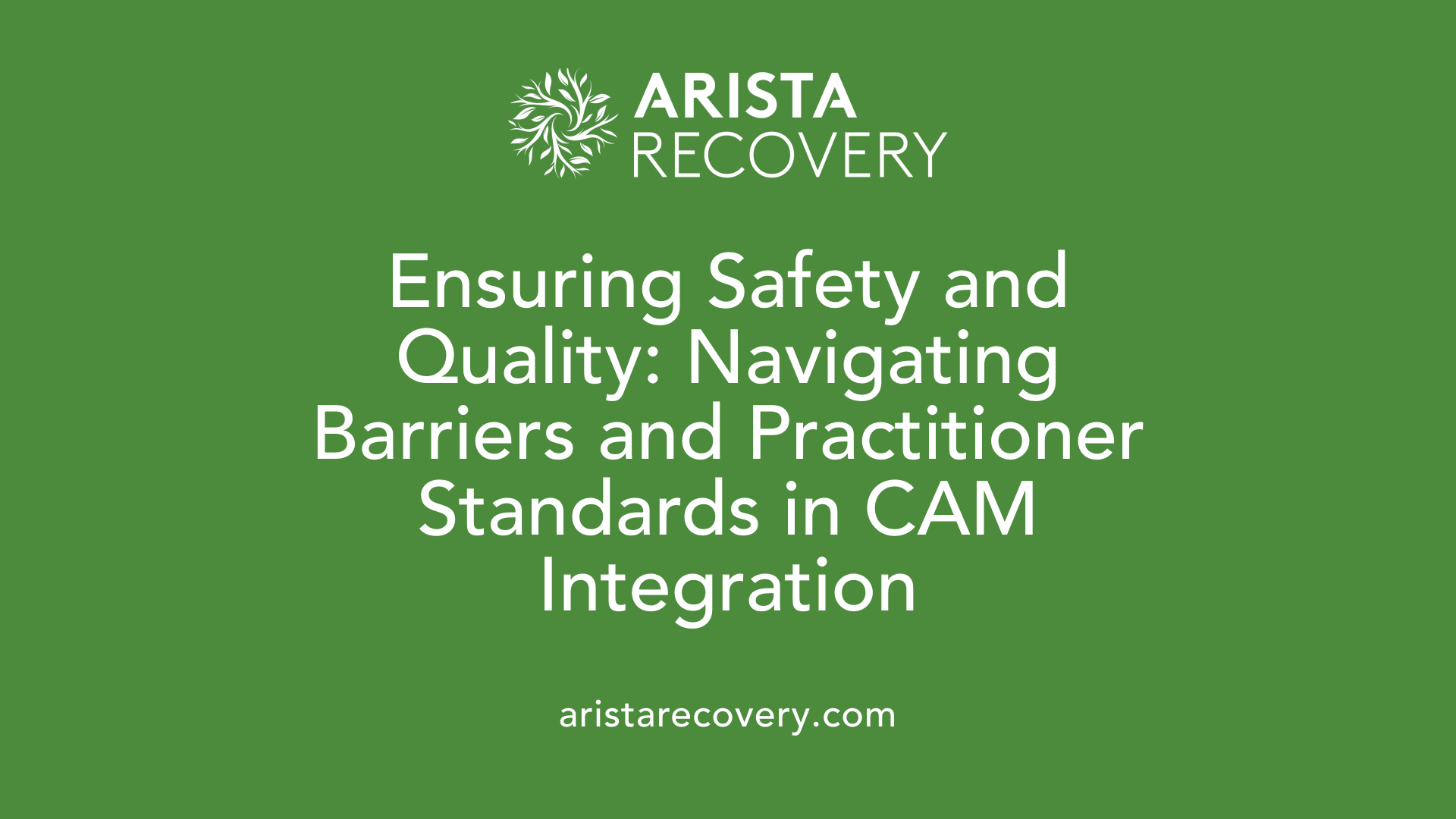 Ensuring Safety and Quality: Navigating Barriers and Practitioner Standards in CAM Integration