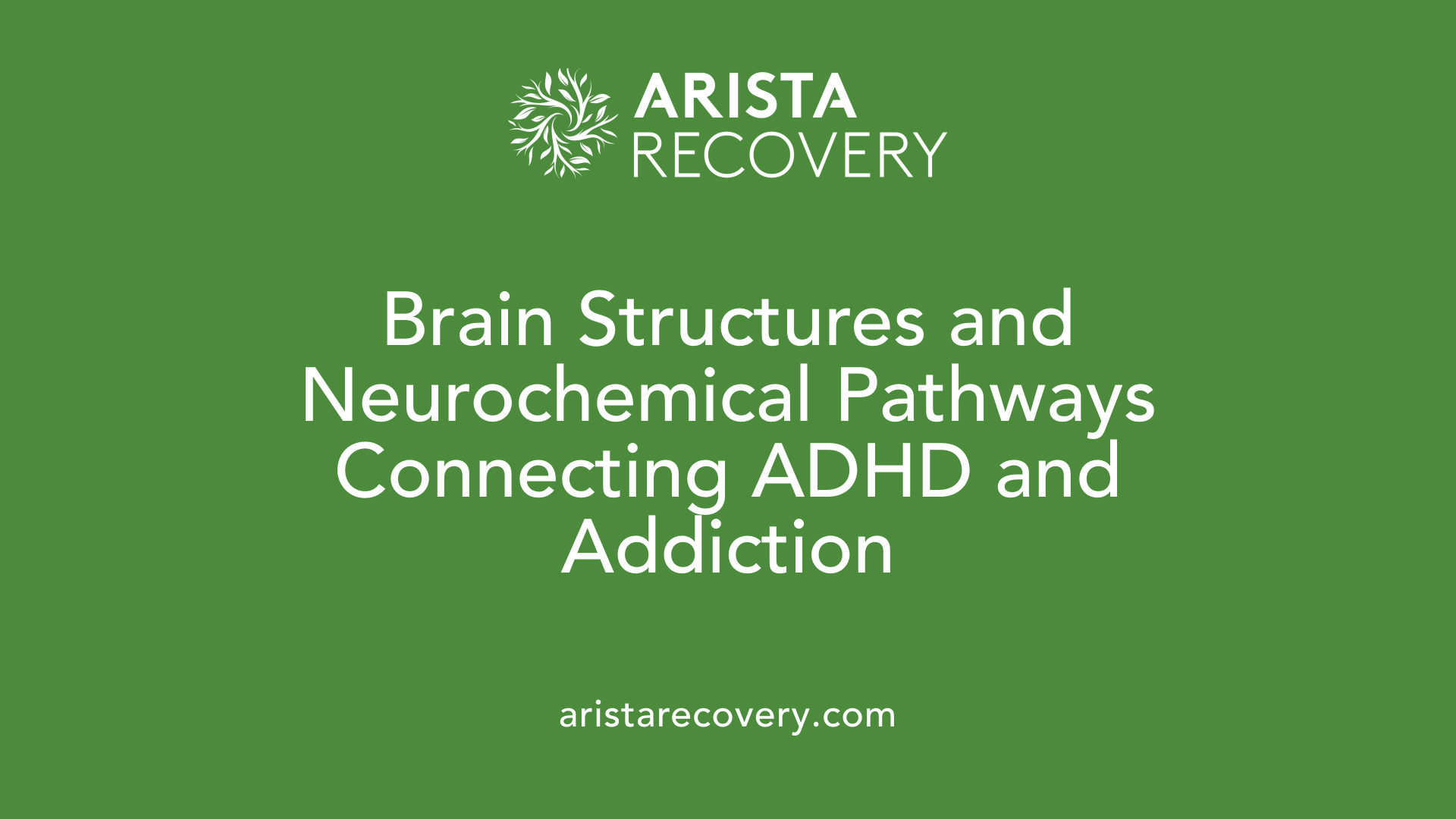 Brain Structures and Neurochemical Pathways Connecting ADHD and Addiction