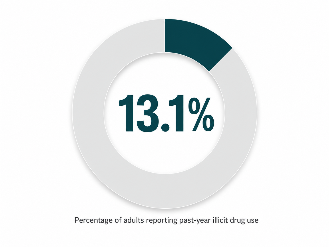 Infographic showing Percentage of adults reporting past-year illicit drug use: 13.1%