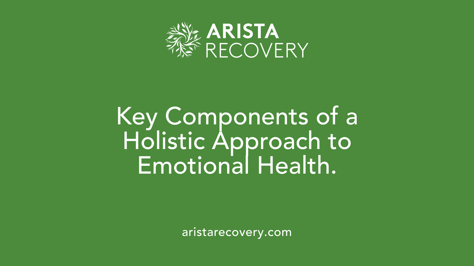 Key Components of a Holistic Approach to Emotional Health.