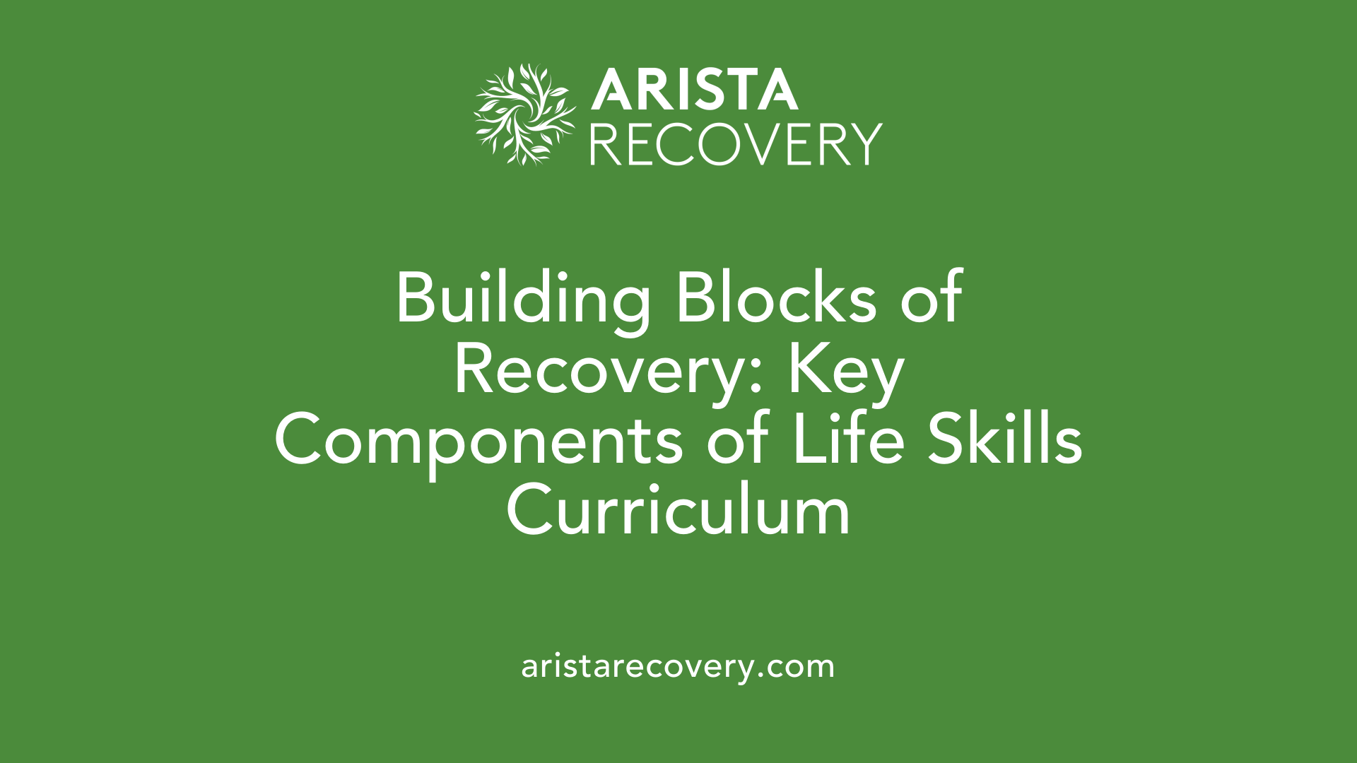 Building Blocks of Recovery: Key Components of Life Skills Curriculum