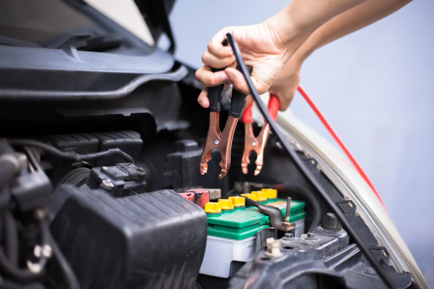 A person attaches jumper cables to a car battery under the open hood of a vehicle.