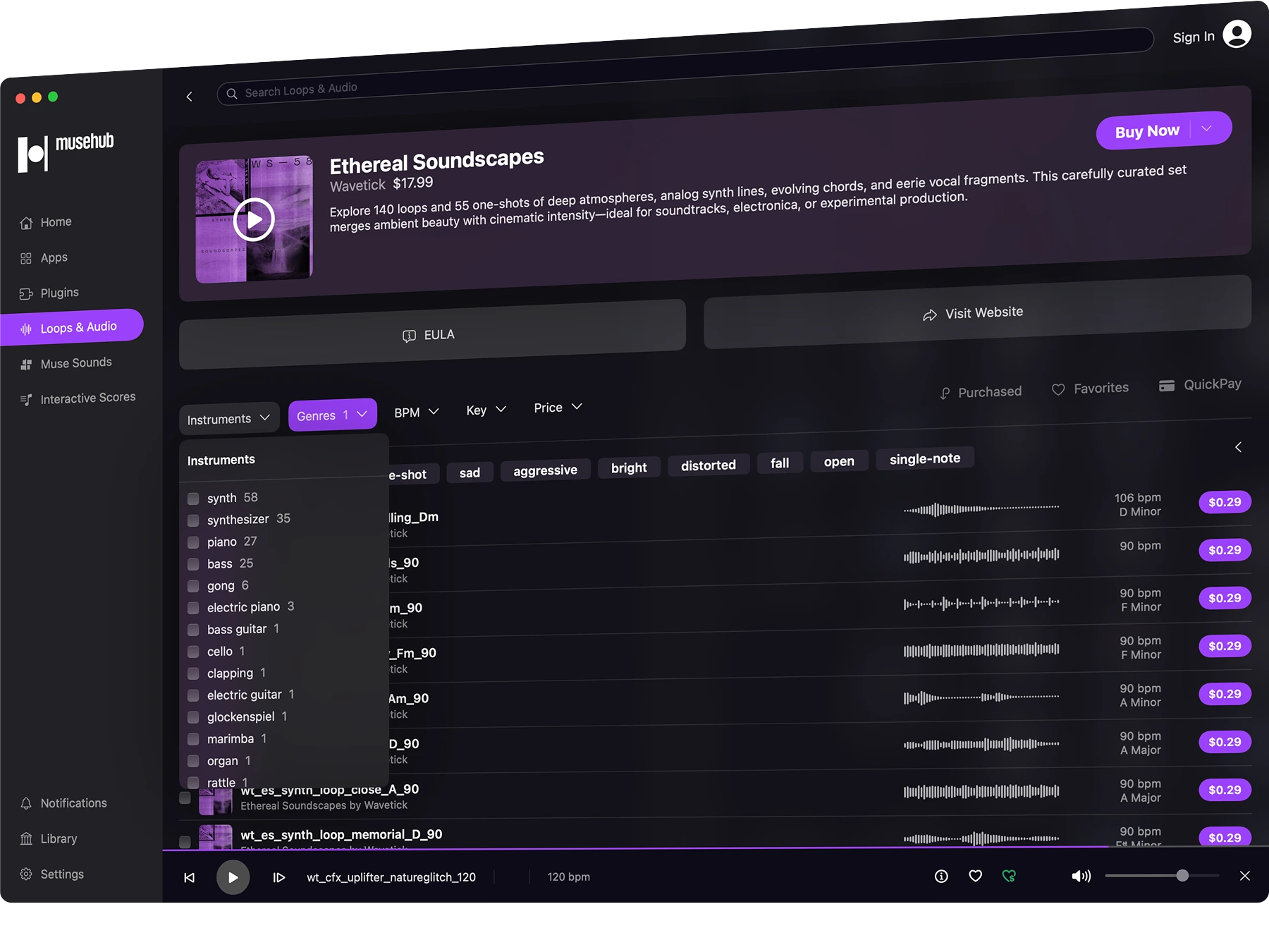 Music software interface showing 'Ethereal Soundscapes' loops by Wavetick priced at $17.99, with a list of audio loops, filters for instruments and genres, and playback controls.