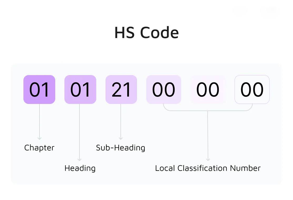 Software HS Code