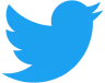 Twitter Logo