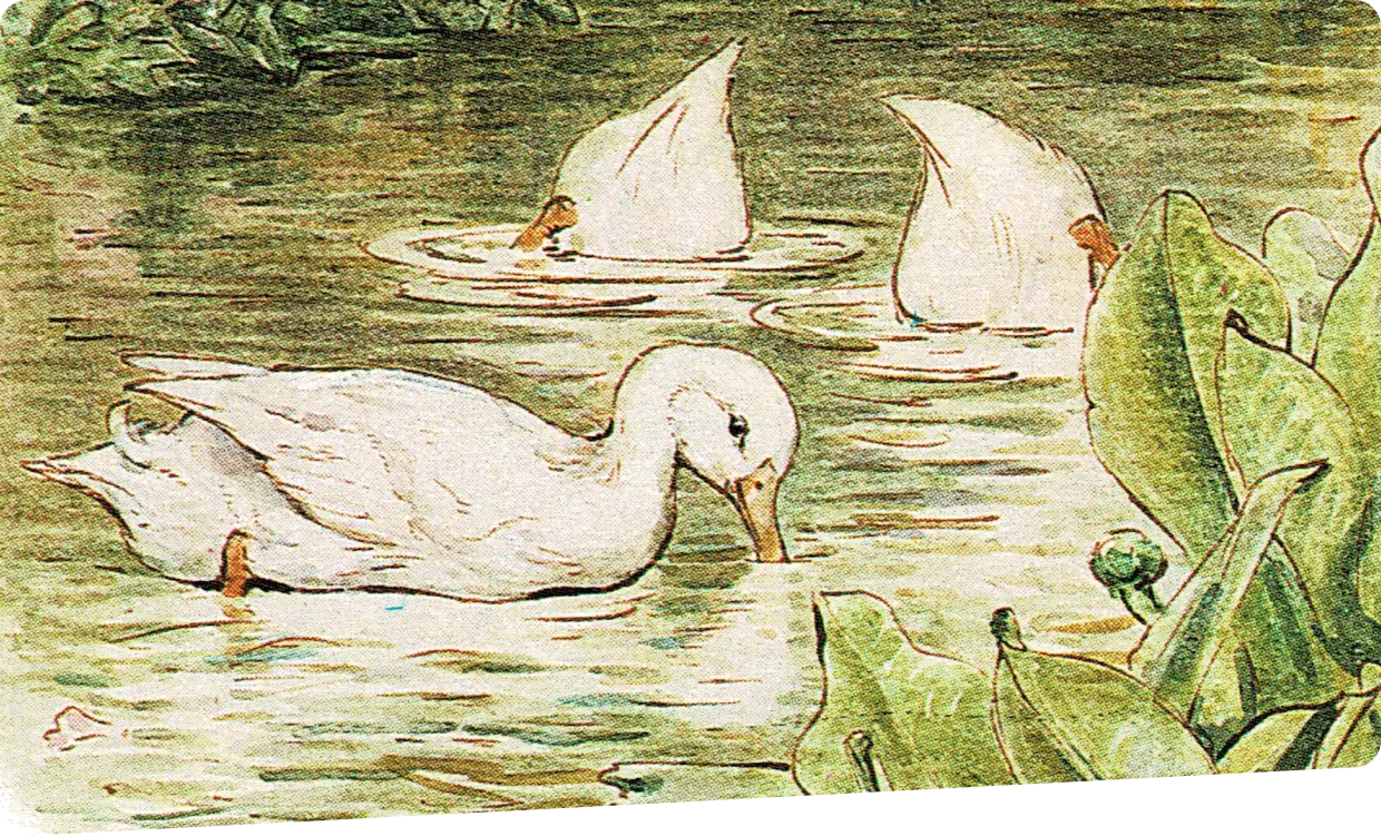 Pinturas de patos na lagora