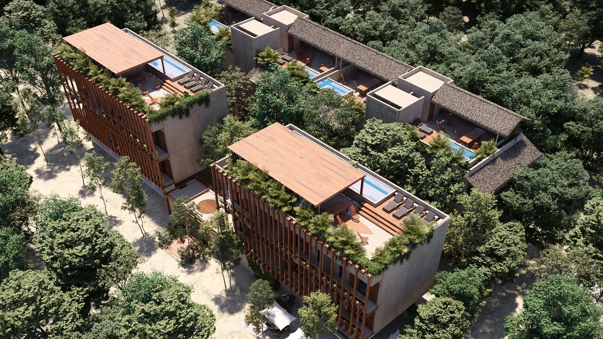 Image of a Rooftop Terrace, featuring Private Plunge Pools and Jungle Setting.