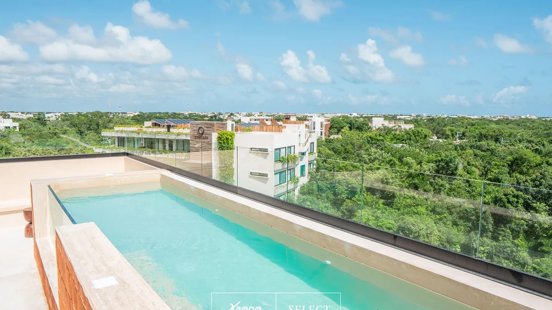 Image of a Rooftop Pool, featuring Jungle View and Private Plunge Pool.