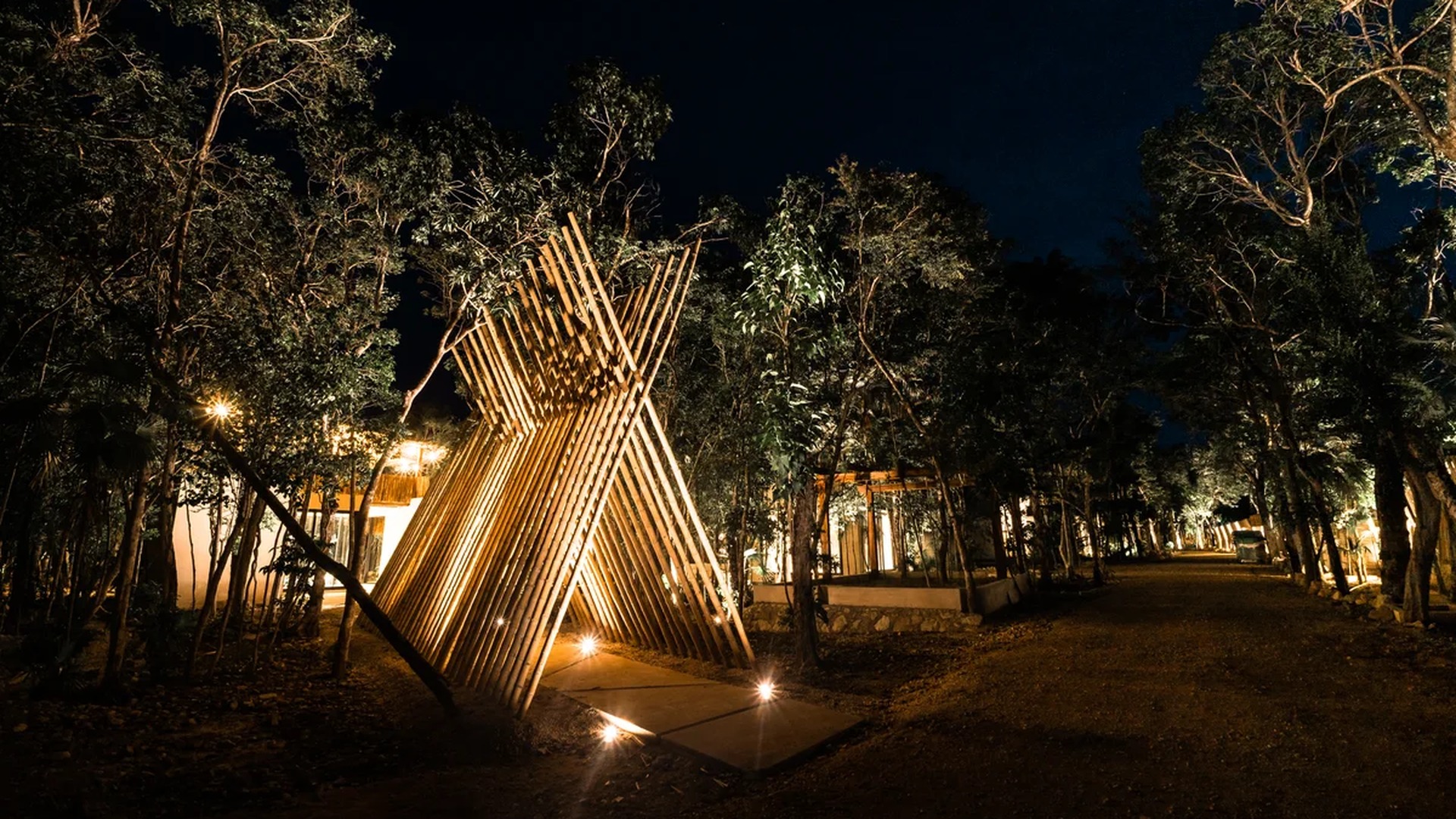 Image of a Landscape Lighting, featuring Wooded Setting and Bamboo Architectural Feature.