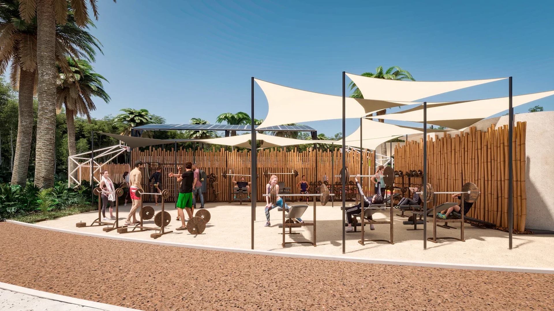 Image of a Outdoor Gym, featuring Jungle Gym and Tropical Setting.