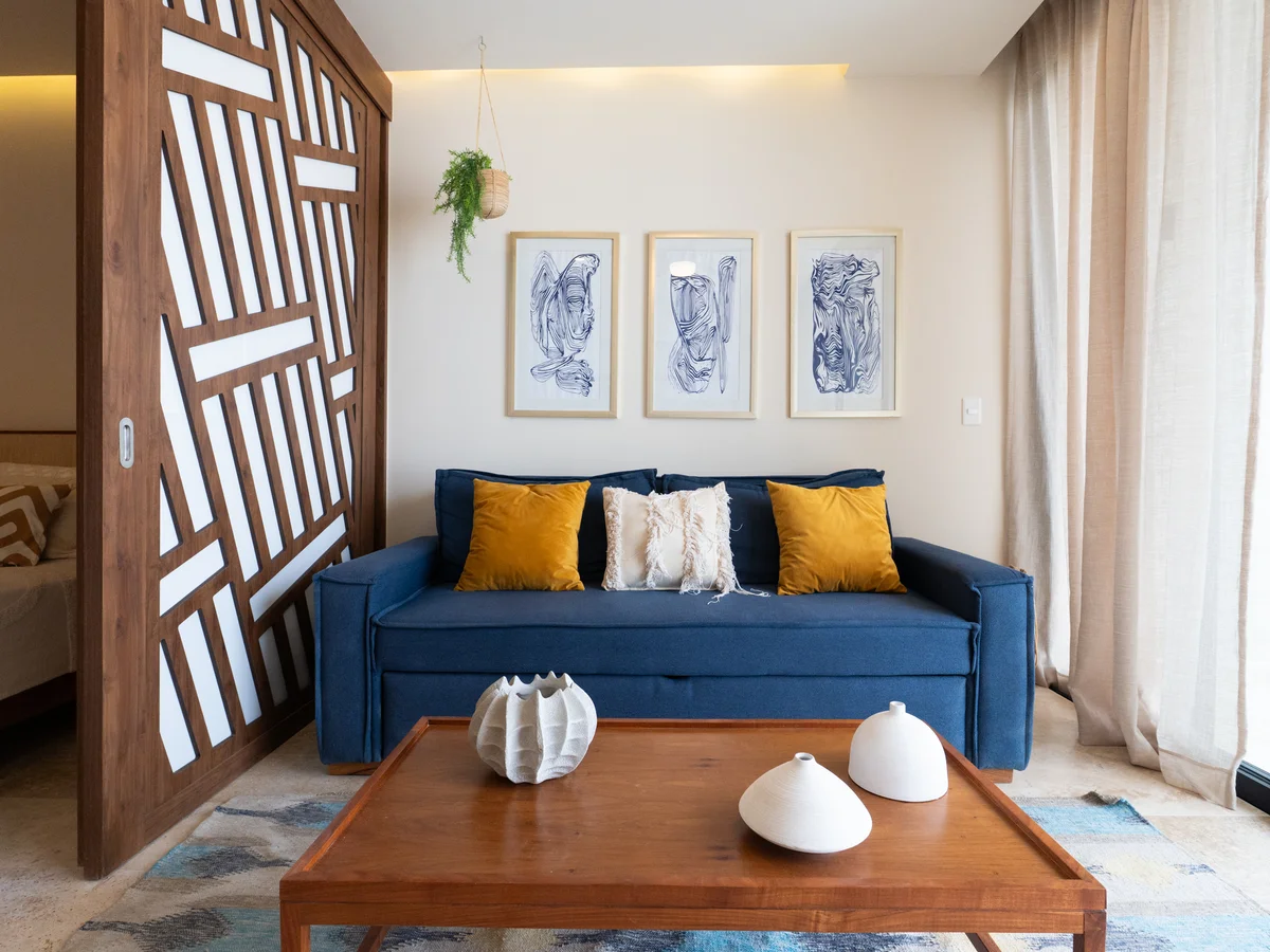 Image of a Living Area, featuring Sleeper Sofa and Modern Decor.