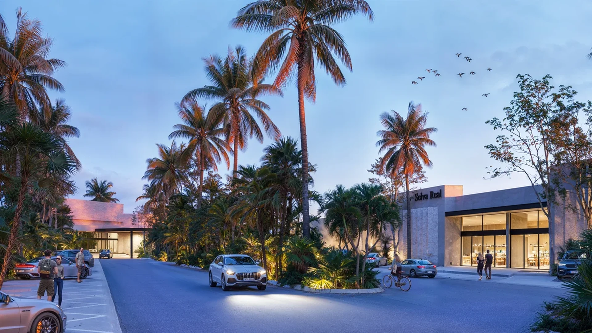 Image of a Tropical Landscaping, featuring Modern Architecture and Resort-Style Living.