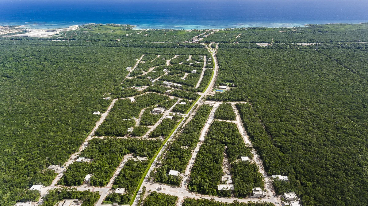 Image of a Aerial View, featuring Coastal Development and Jungle Community.