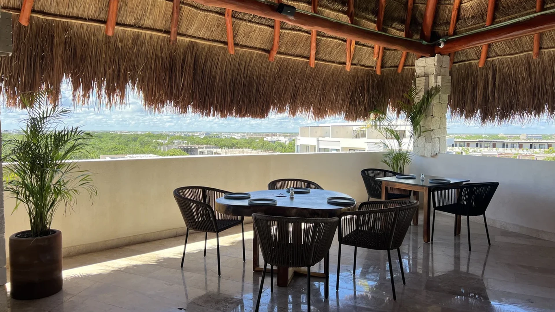 Image of a Rooftop Dining Terrace, featuring Covered Palapa Lounge and City View Balcony.