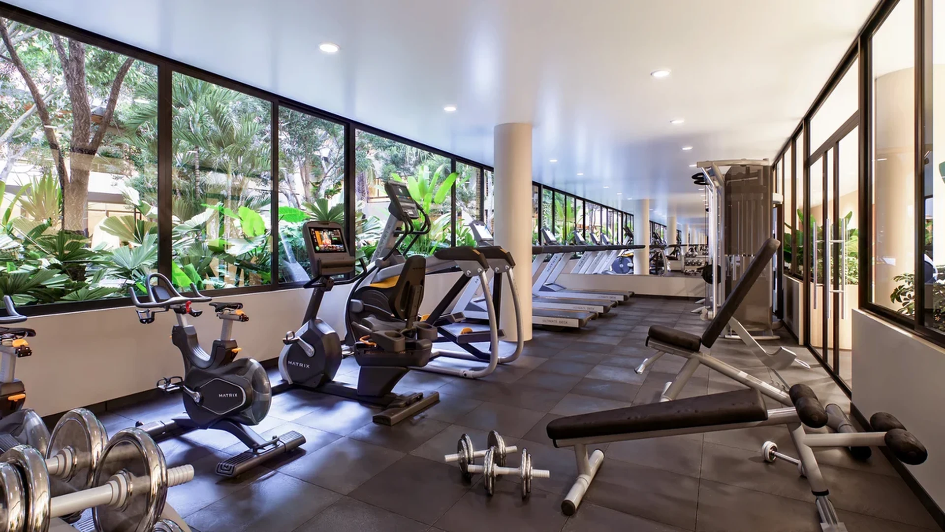 Image of a Fitness Center, featuring Modern Gym and Cardio Equipment.