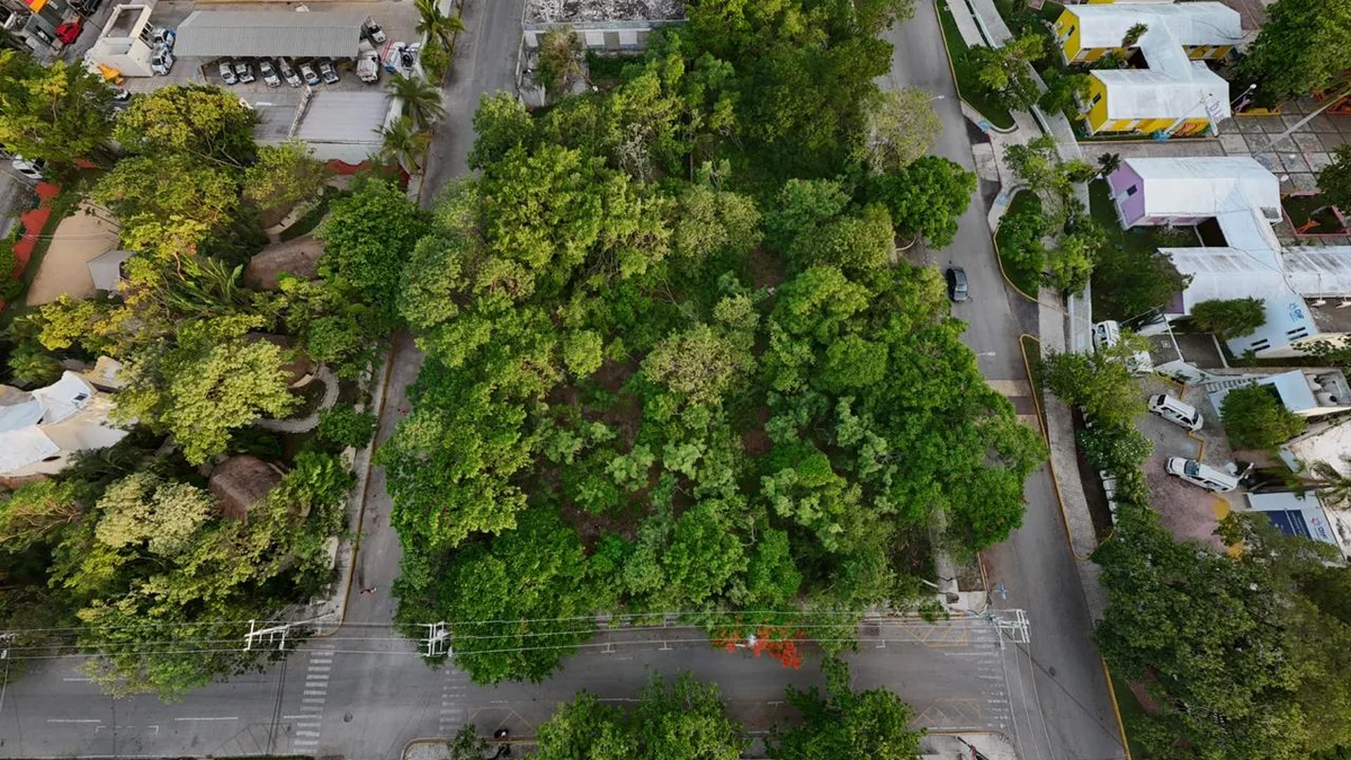 Image of a Development Land, featuring Corner Lot and Investment Opportunity.