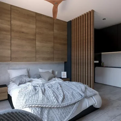 Image of a Studio Apartment, featuring Modern Design and Wood Accent Wall.