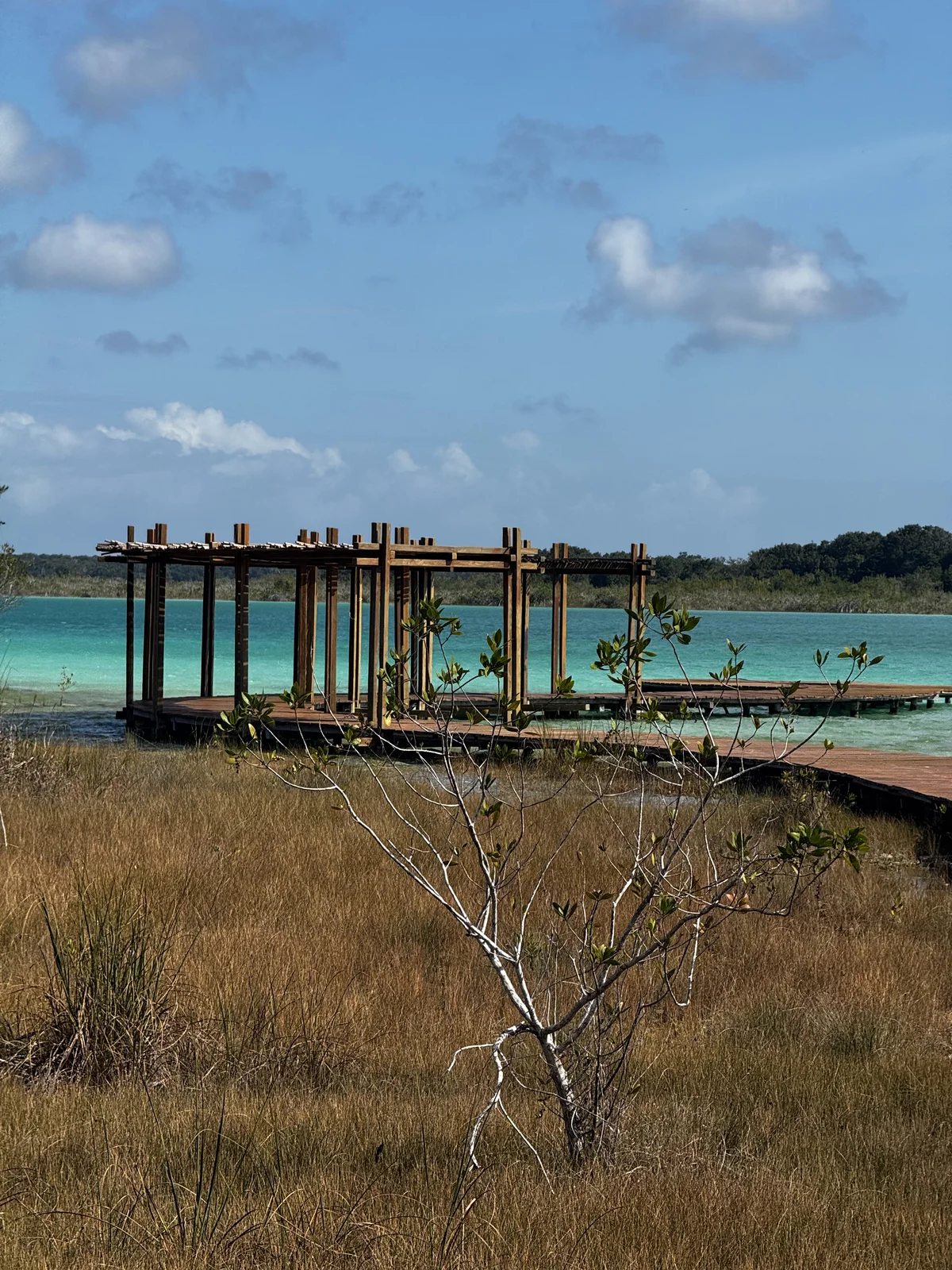 Image of a Lagoon Front, featuring Wooden Dock and Outdoor Pergola.