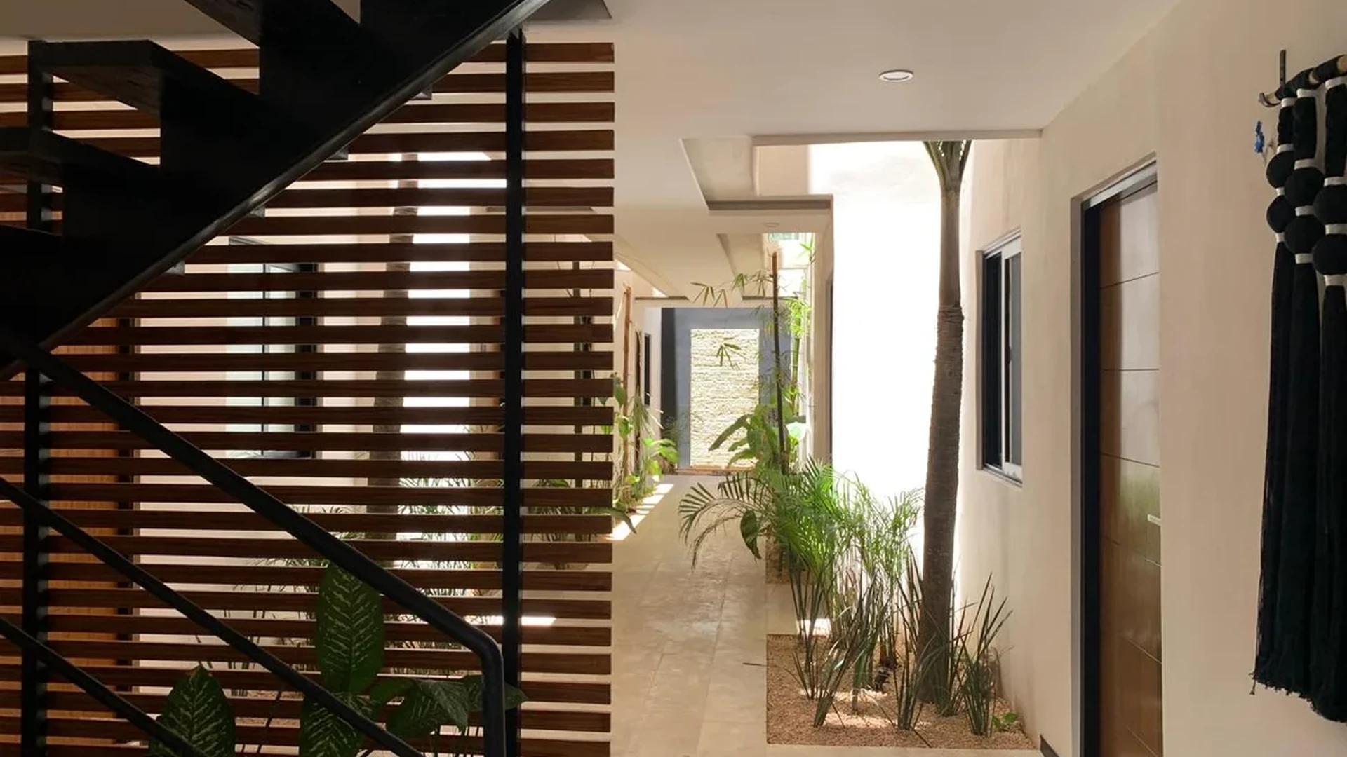 Image of a Modern Hallway, featuring Biophilic Design and Indoor Garden.