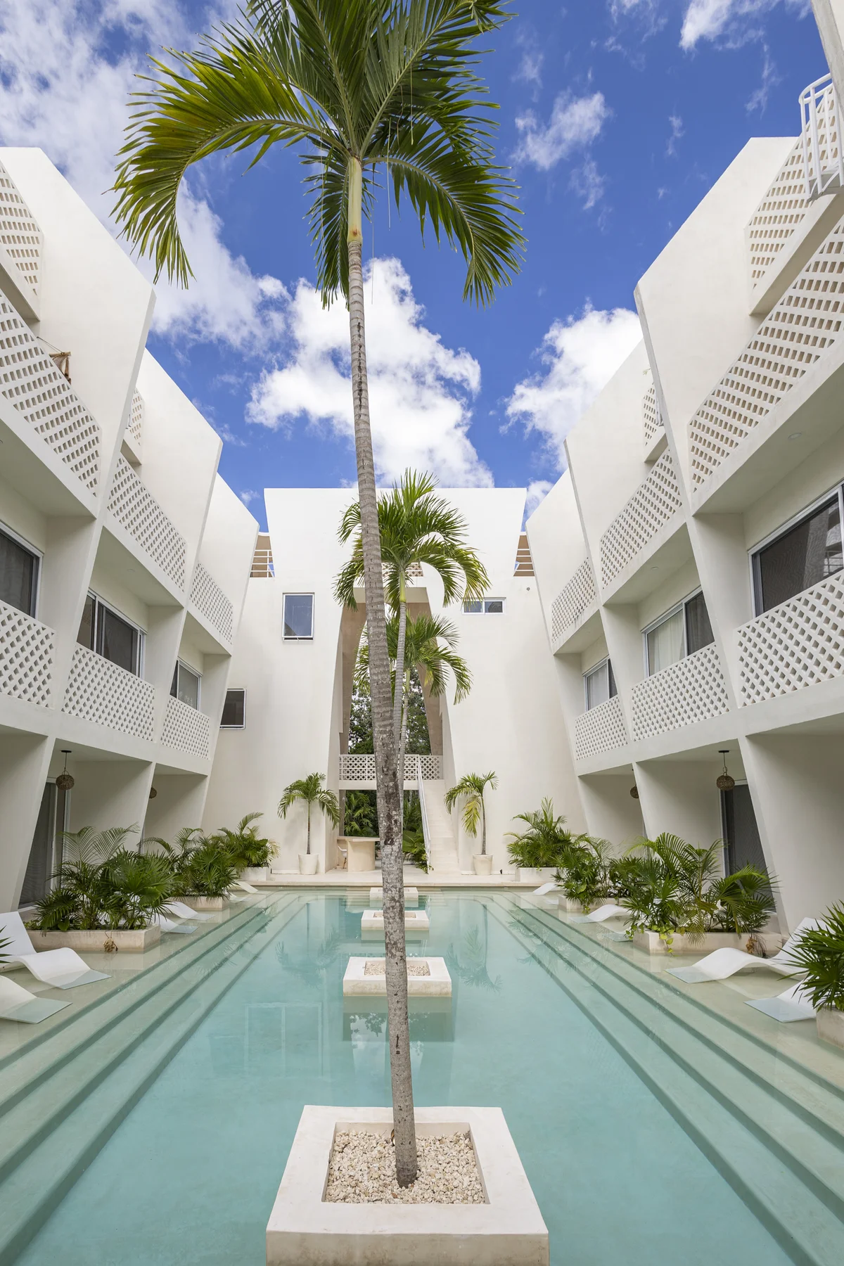 Image of Swimming Pool at Menotto 11, featuring Swimming Pool, Modern Architecture.