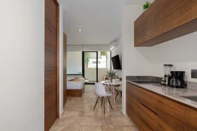 View of Studio Apartment at Akua Reserve, showcasing Modern Kitchenette, Open Concept Living.