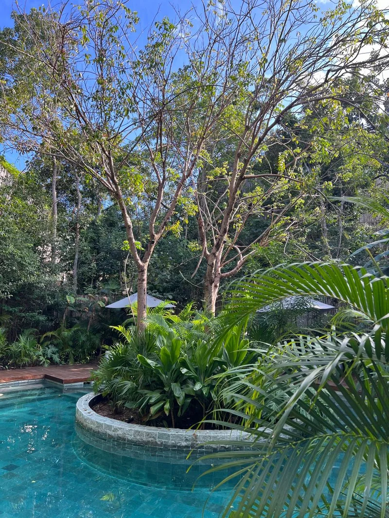Image of Swimming Pool at Miraluna, featuring Swimming Pool, Lush Garden.