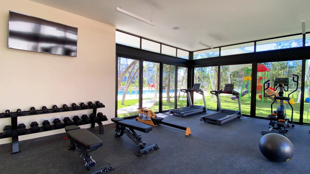 Image of Gym at Palmara, featuring Fitness Center, Modern Gym.