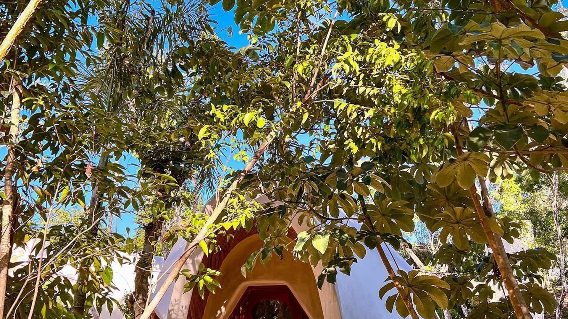 Image of Garden at Green Dream, featuring Unique Architecture, Lush Garden.