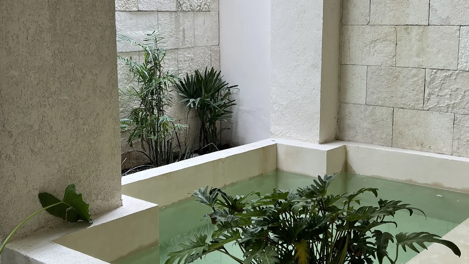 Image of Swimming Pool at Constelada, featuring Private Plunge Pool, Stone Accent Wall.