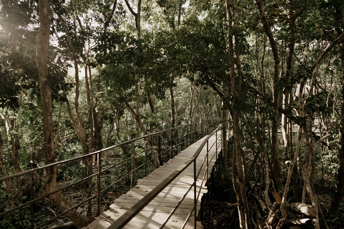 Image of Garden at Bodhi, featuring Nature Trail, Jungle Walkway.