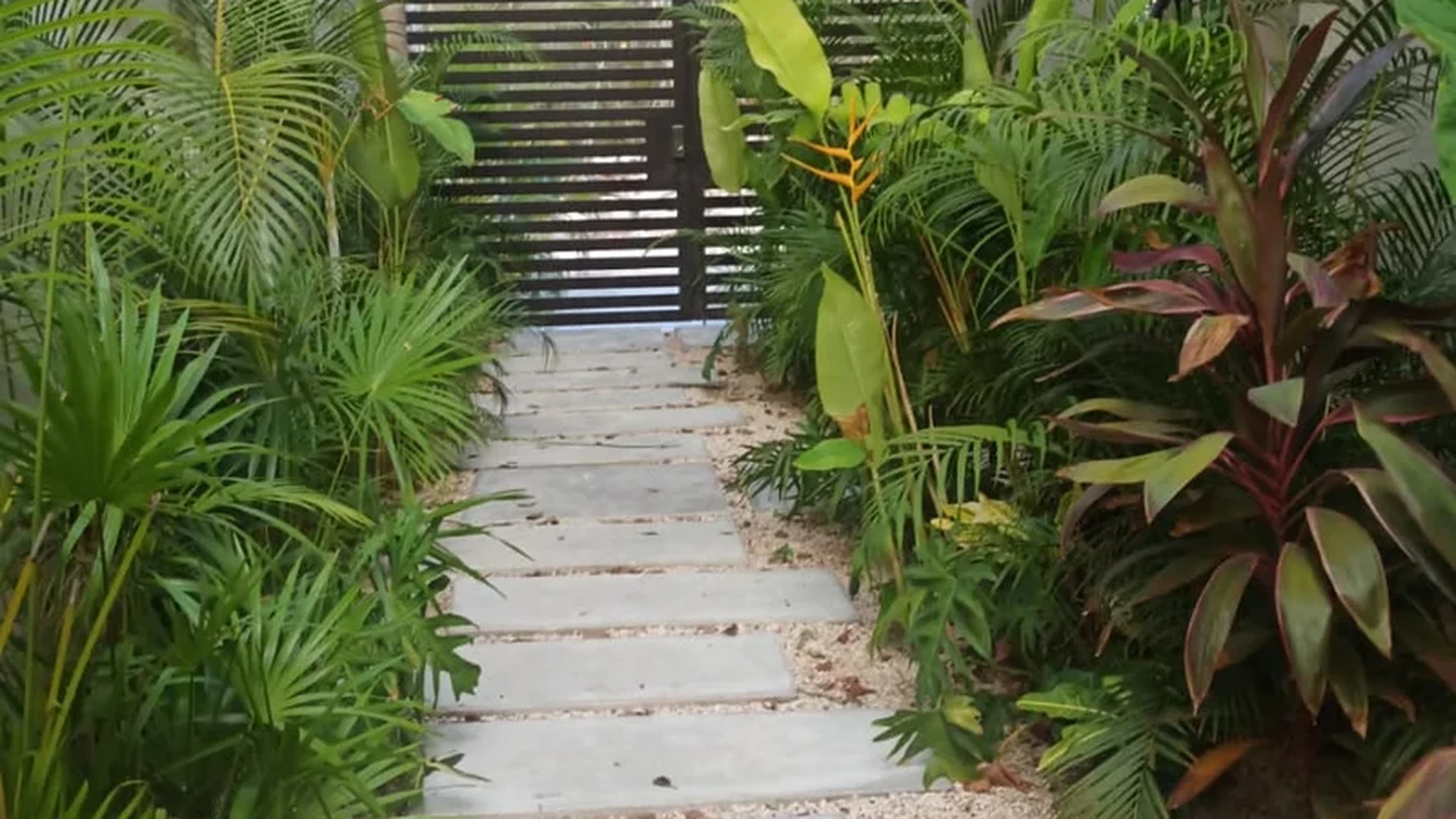 Image of Garden at Sands Tulum, featuring Tropical Garden, Entrance Pathway.