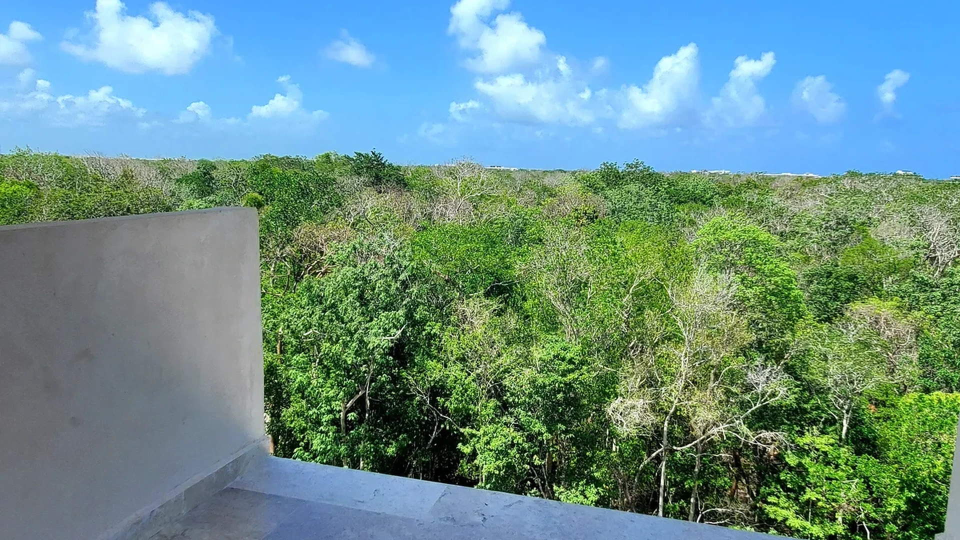 View of Jungle View at Lik Xelba, showcasing Tropical Forest, Panoramic Vista.