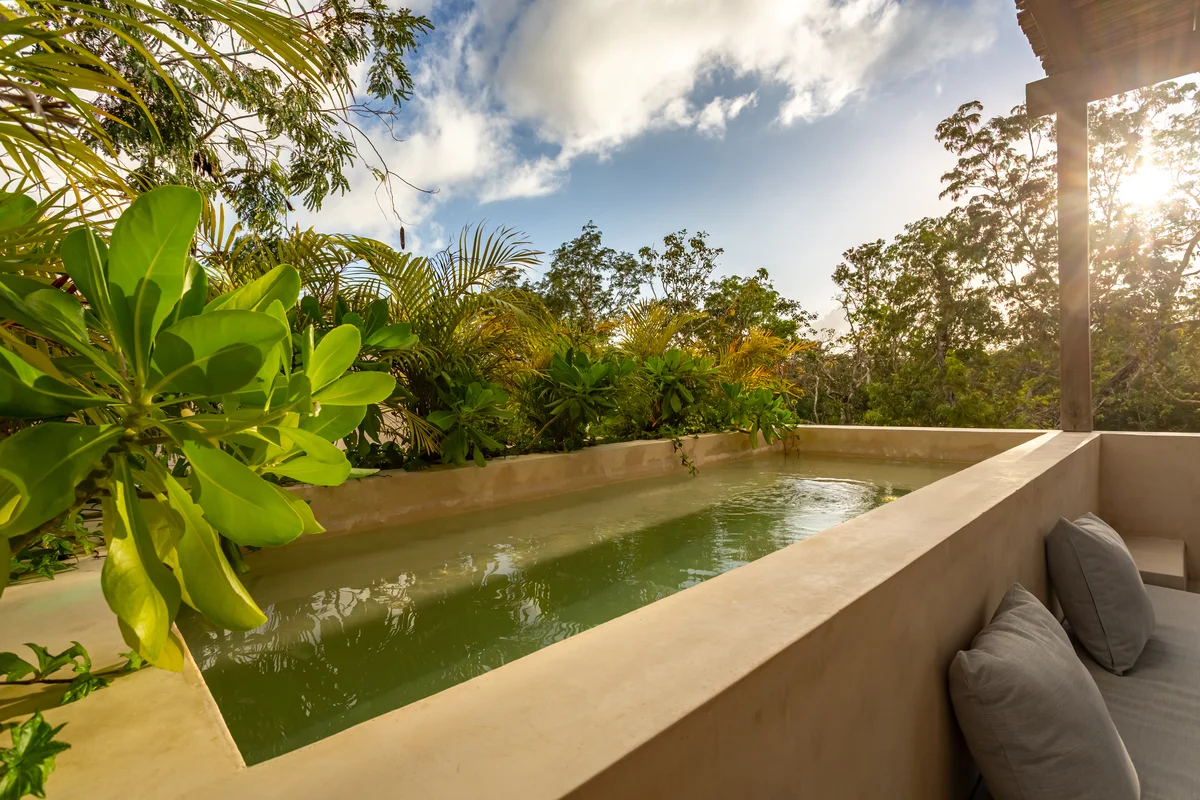 Image of a Private Plunge Pool, featuring Rooftop Terrace and Jungle View.