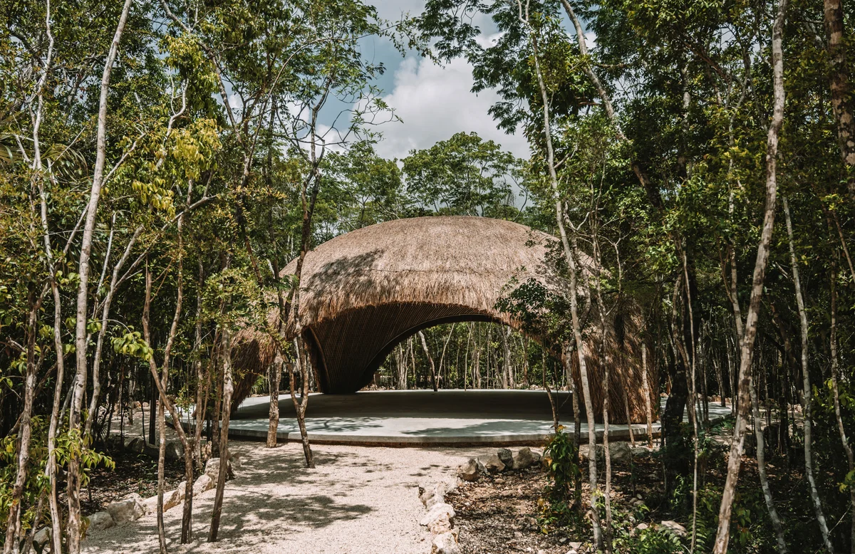 Image of Lounge at Beecheii, featuring Thatch Roof Structure, Jungle Setting.